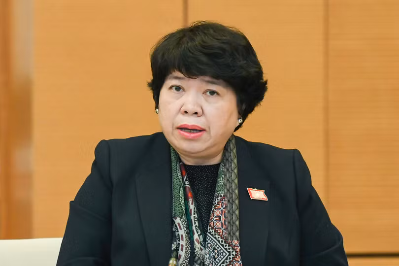 Chủ nhiệm Ủy ban Xã hội Nguyễn Thúy Anh Chủ nhiệm Ủy ban Xã hội Nguyễn Thúy Anh
