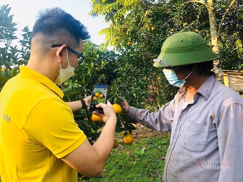 Các hộ sản xuất nông nghiệp sẽ được tập huấn, hướng dẫn kỹ năng cần thiết để bán hàng và quảng bá sản phẩm trên nền tảng số. Ảnh: B.M Các hộ sản xuất nông nghiệp sẽ được tập huấn, hướng dẫn kỹ năng cần thiết để bán hàng và quảng bá sản phẩm trên nền tảng số. Ảnh: B.M