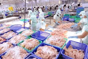 Doanh nghiệp tư nhân sẽ nhận được nhiều hỗ trợ trong giai đoạn 2022 - 2025