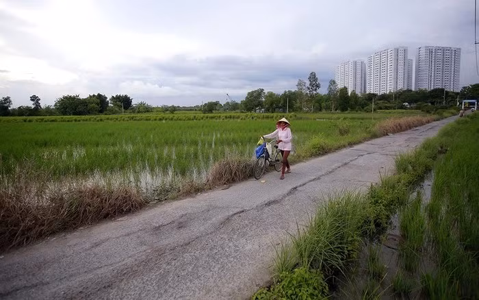 đất nn.jpg