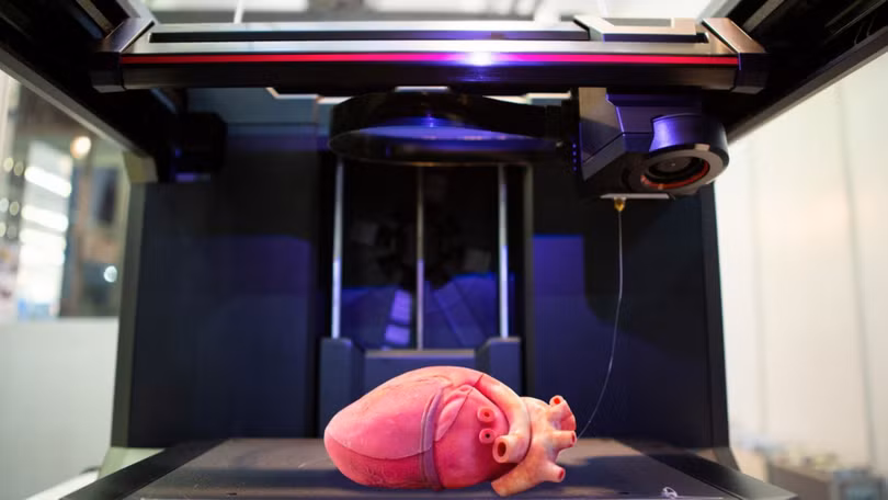 Một quả tim mô phỏng tim người được in 3D. Ảnh Engineering Interesting.