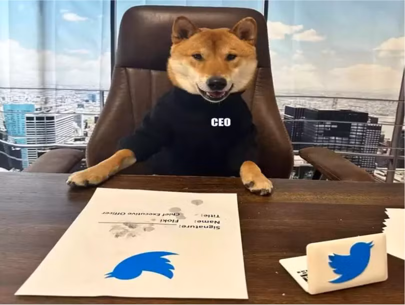 Ảnh: Business Insider