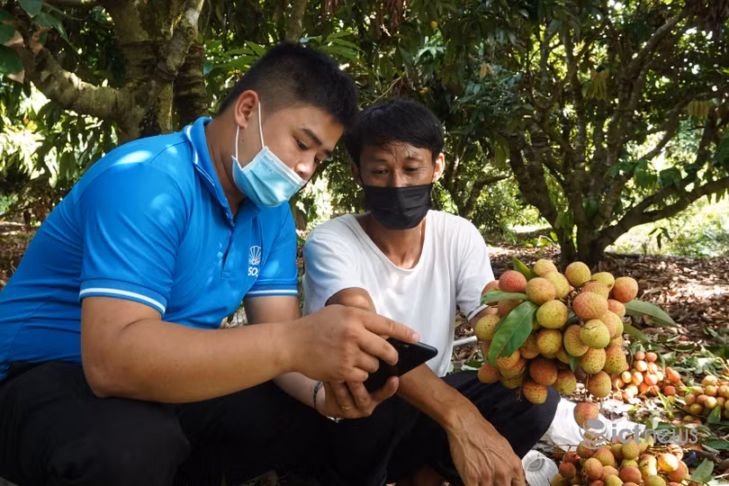 Tính từ ngày 20/5 đến 21/6, Vietnam Post và Viettel Post đã hỗ trợ 1.097 hộ nông dân Bắc Giang lên các sàn Vỏ Sò, Postmart.