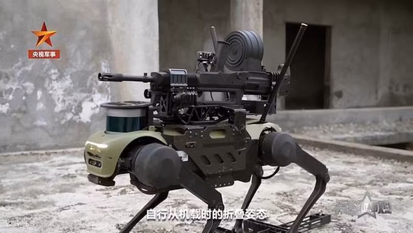 Soi chien.png