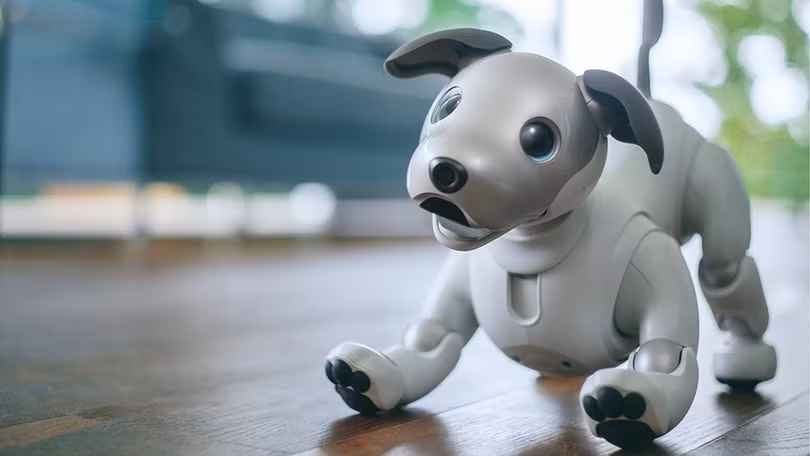 Cùng khám phá những robot xuất sắc nhất tại CES 2018 ảnh 3
