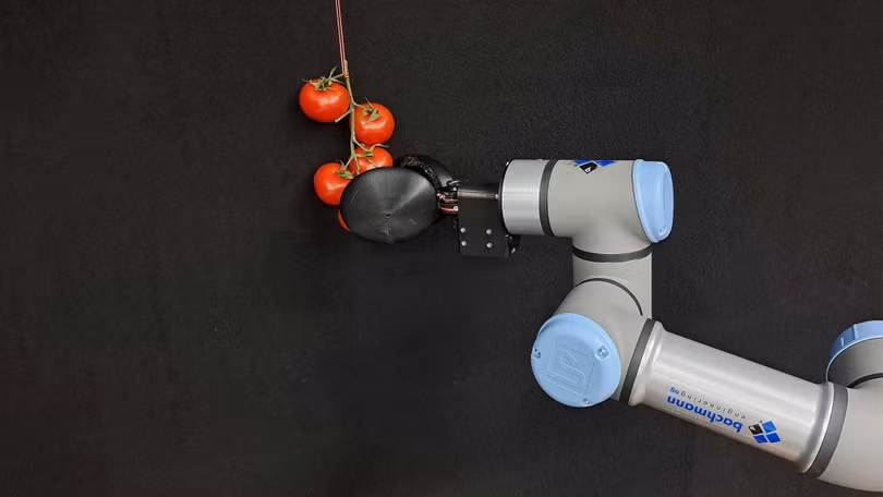 Robotthuhoachcachua01.jpg