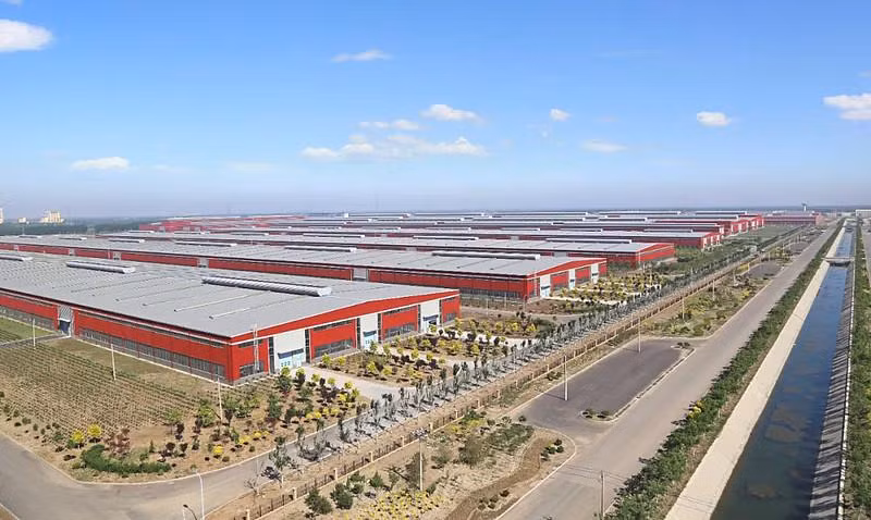 Một nhà máy của Tập đoàn China Zhongwang (Ảnh: 21cbr). Một nhà máy của Tập đoàn China Zhongwang (Ảnh: 21cbr).