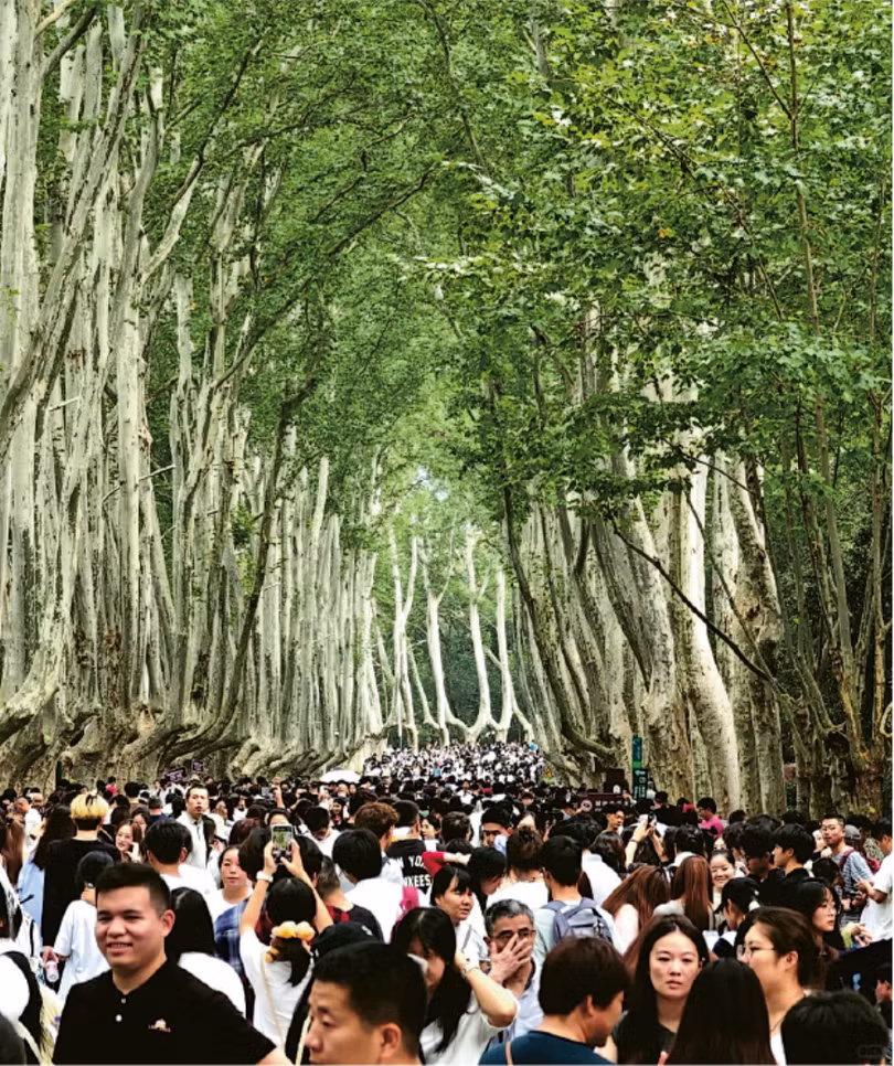 Dai lo Ngo Dong Nam Kinh.png