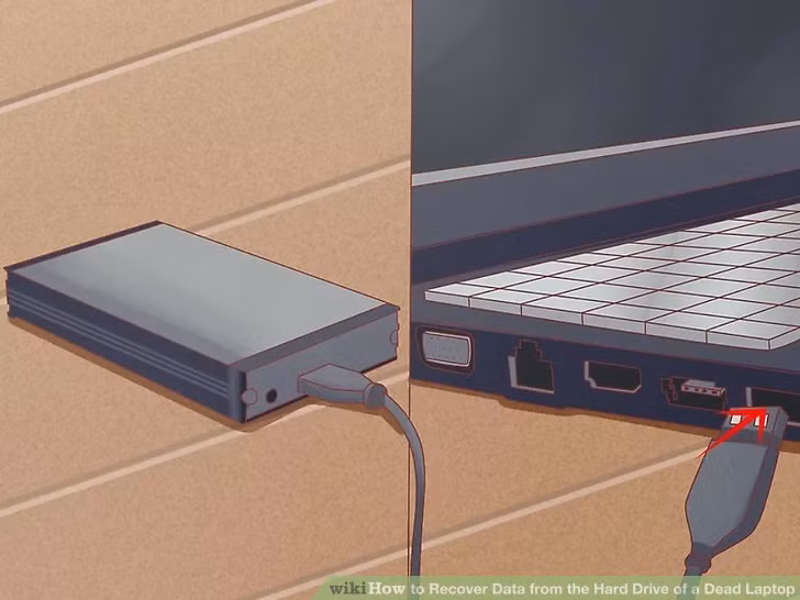Ảnh: Wikihow