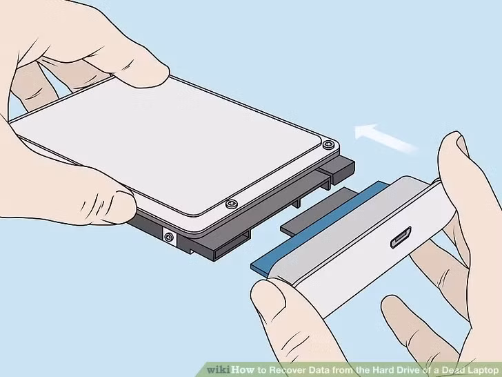 Ảnh: Wikihow