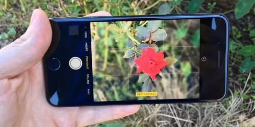 Chức năng chụp ảnh chân dung trên iPhone 7 Plus dùng iOS 10.1 beta 2.