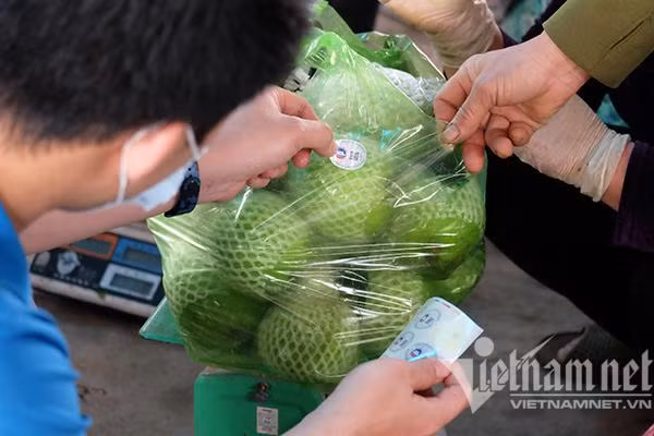 Dán tem truy xuất nguồn gốc nông sản tại một nhà vườn ở Hải Dương. (Ảnh: Trọng Đạt) Dán tem truy xuất nguồn gốc nông sản tại một nhà vườn ở Hải Dương. (Ảnh: Trọng Đạt)