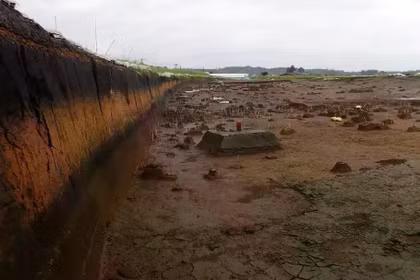 Trầm tích núi lửa Kikai-Akahoya ở phía nam Kyushu. Ảnh: ĐH Lund.