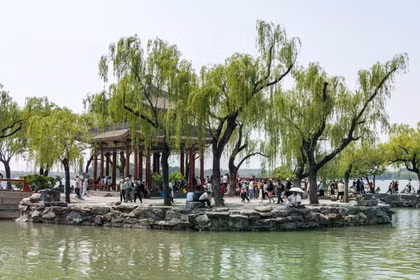 Bắc Kinh có số lượng cây liễu và cây dương cao bất thường. Ảnh: Shutterstock.