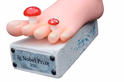 Chủ đề của sự kiện Ig Nobel năm nay, được tổ chức tại Zurich, Thụy Sĩ, là nấm. Ảnh: CNN.