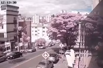 Ảnh cắt từ clip.