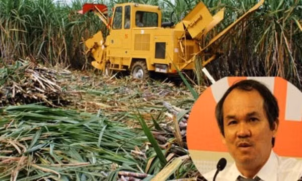 Đường của bầu Đức nhập từ Lào về Việt Nam sẽ được miễn thuế