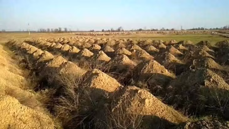 Thành phố tại Ukraina đào hàng trăm ngôi mộ để dọa người dân (Ảnh: OC)