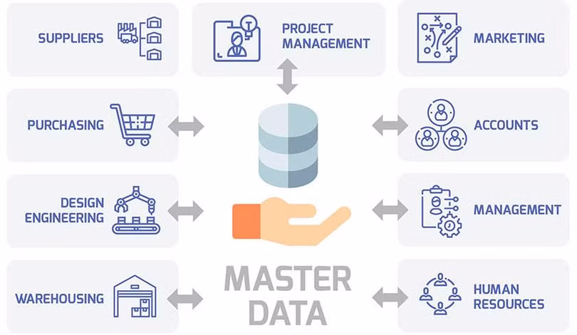 Master Data (Ảnh: DEO)