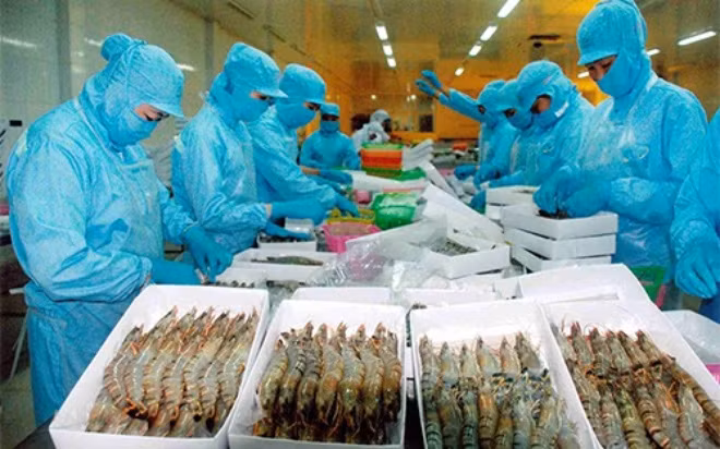 Trên 8.000 tấn thủy sản xuất khẩu bị... trả về