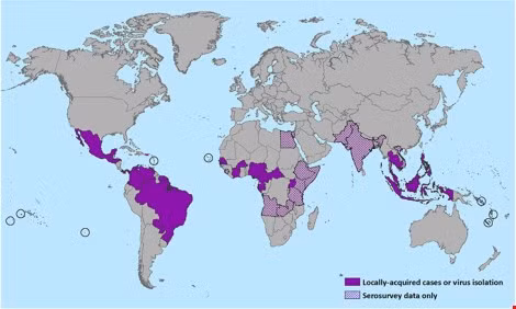 Mỹ xuất hiện virus Zika cực kỳ nguy hiểm