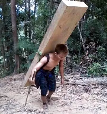 Quãng đường 6 km, mỗi phách gỗ được trả khoảng 250.000đồng tiền vận chuyển. Ảnh:Người dân cung cấp.