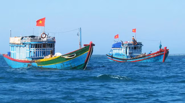 Ảnh minh họa