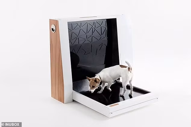 Inubox - nhà vệ sinh thông minh dành cho những người nuôi chó (Ảnh: Daily Mail)