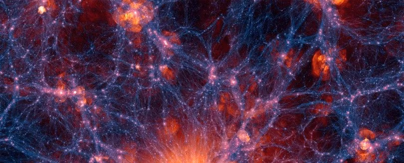 Sự tương đồng giữa cấu trúc não và bộ não con người (Ảnh: Science Alert)