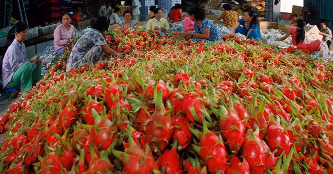 Bộ Công Thương sẽ thành lập tổ công tác xử lý sự cố thương mại
