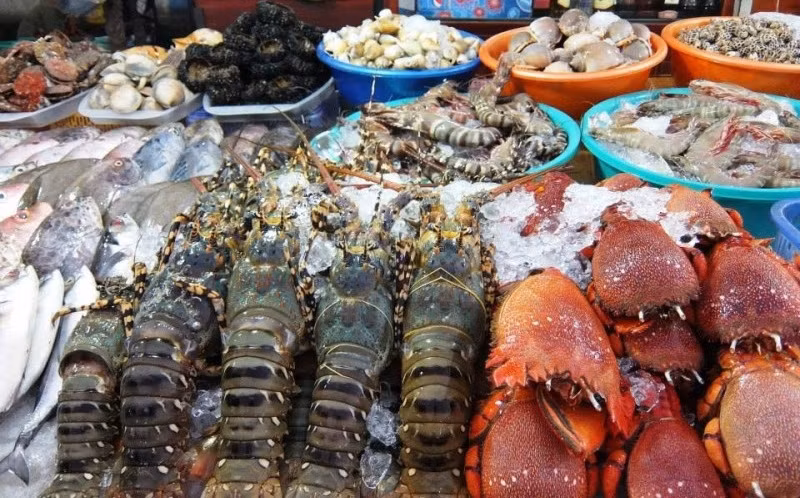 Hình minh họa