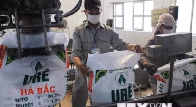 Đóng gói sản phẩm phân đạm urê tại Nhà máy Phân đạm và Hóa chất Hà Bắc