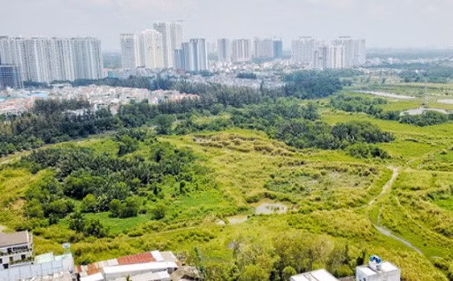Ban Thường vụ Thành ủy TPHCM đã thống nhất đề nghị kỷ luật với các cá nhân liên quan.