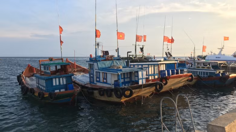 Tàu đánh cá trên đảo Lý Sơn