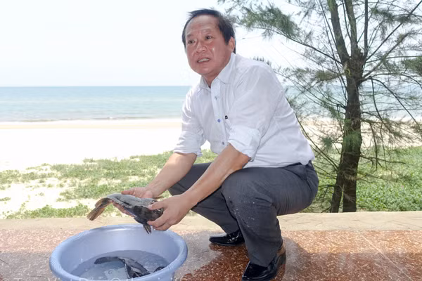 Kêu gọi không tẩy chay hải sản, Bộ trưởng, Chủ tịch cùng ăn cá biển ảnh 1