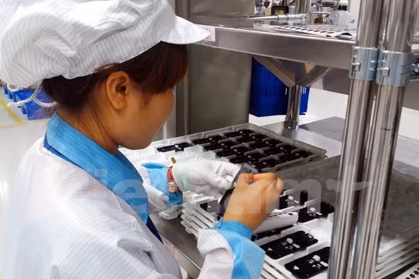 Phần mềm Việt: Sụt giảm trong nước, tăng trưởng nước ngoài ảnh 1