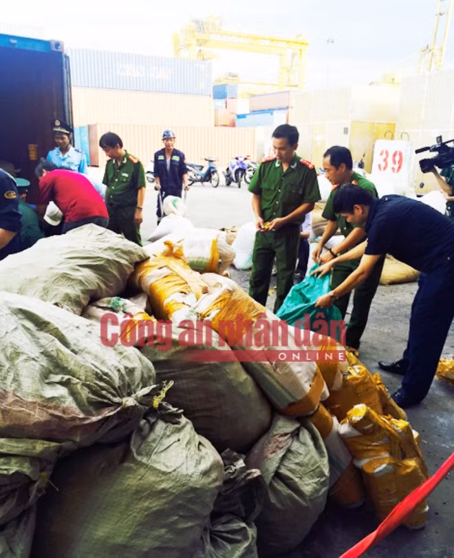 Thêm container ngà voi và vảy tê tê lậu ‘cập cảng’ Tiên Sa