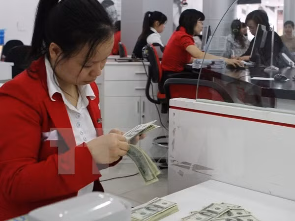 “VND có thể giảm 4 đến 5% so với USD trong năm 2016”