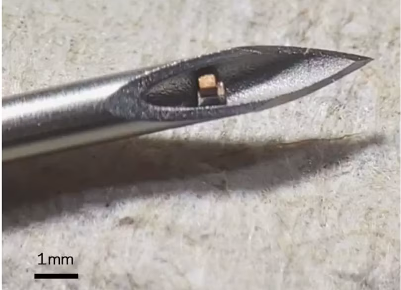 Chip đơn nhỏ nhất thế giới (Ảnh: NewAtlas)