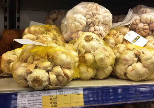 Tỏi Trung Quốc củ to đều, dễ bóc vỏ.
