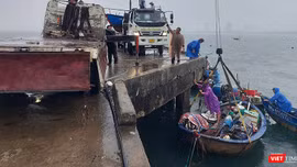 Ngư dân Đà Nẵng chủ động ứng phó với bão số 12