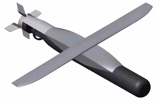 Phác họa ngư lôi chống ngầm phóng từ trên không mang tên “Silent Anvil” Mỹ đang nghiên cứu. Ảnh: Sohu. 
