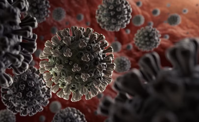 Virus SARS-CoV-2. Ảnh: Getty Images