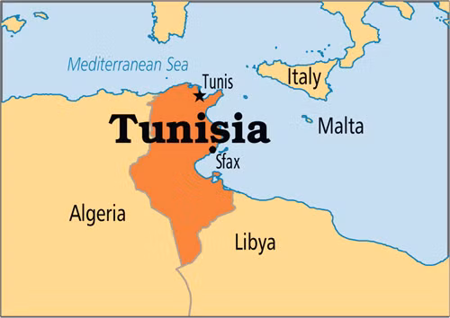 Tunisia là "cái nôi" khởi phát phong trào Mùa xuân Arab cách đây 5 năm. Đồ họa:BBC