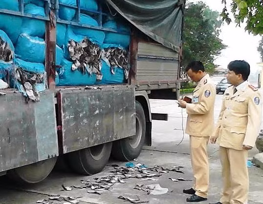 Lực lượng công an tiến hành kiểm tra xe tải và phát hiện lô hàng 20,4 tấn mực khô bốc mùi hôi thối.