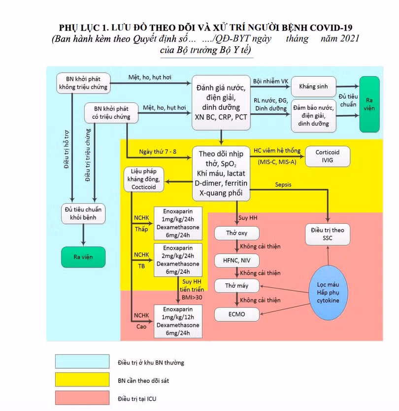 Lưu đồ theo dõi, xử trí bệnh nhân COVID-19 (Ảnh - MT)