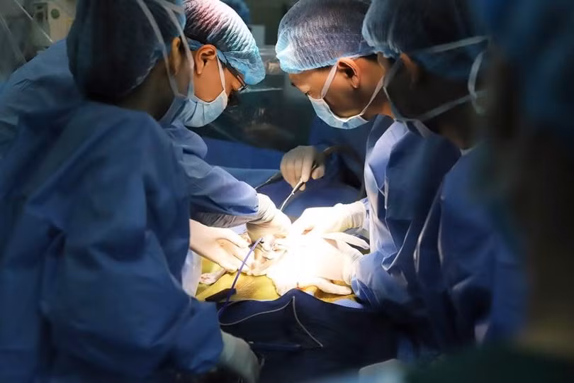 Các bác sĩ đã vượt qua nhiều khó khăn để ghép gan thành công, cứu sống bệnh nhi (Ảnh - BVCC) Các bác sĩ đã vượt qua nhiều khó khăn để ghép gan thành công, cứu sống bệnh nhi (Ảnh - BVCC)