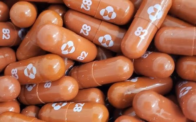 Thuốc molnupiravir dùng trong điều trị Covid-19 mà Hãng dược Merck của Đức và đối tác Mỹ Ridgeback Biotherapeutics đang nghiên cứu (Ảnh: REUTERS) Thuốc molnupiravir dùng trong điều trị Covid-19 mà Hãng dược Merck của Đức và đối tác Mỹ Ridgeback Biotherapeutics đang nghiên cứu (Ảnh: REUTERS)