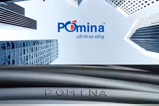Được tập đoàn lớn nhất Việt Nam "tiếp sức", Pomina vẫn chưa hết lận đận