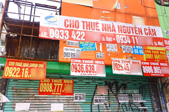  Bình quân mỗi tháng hơn 25.000 doanh nghiệp rời bỏ thị trường 